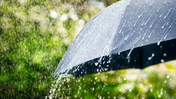 Rain Day Orange County