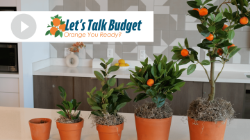 Image cover of five pots hyperlinked to YouTube video of Let's Talk Budget