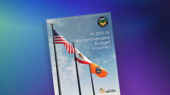 budget