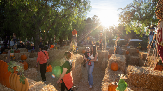 OC Parks Fall-O-Ween