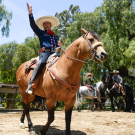 Enjoy Charro horse riding and roping demonstrations at the annual Rancho Days Fiesta.