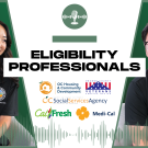 Eligibility-Professionals