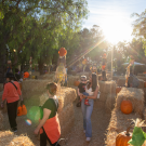 OC Parks Fall-O-Ween