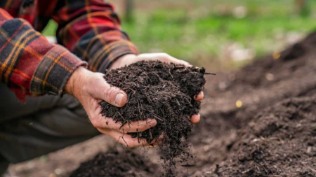 hands holding compost