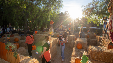 OC Parks Fall-O-Ween